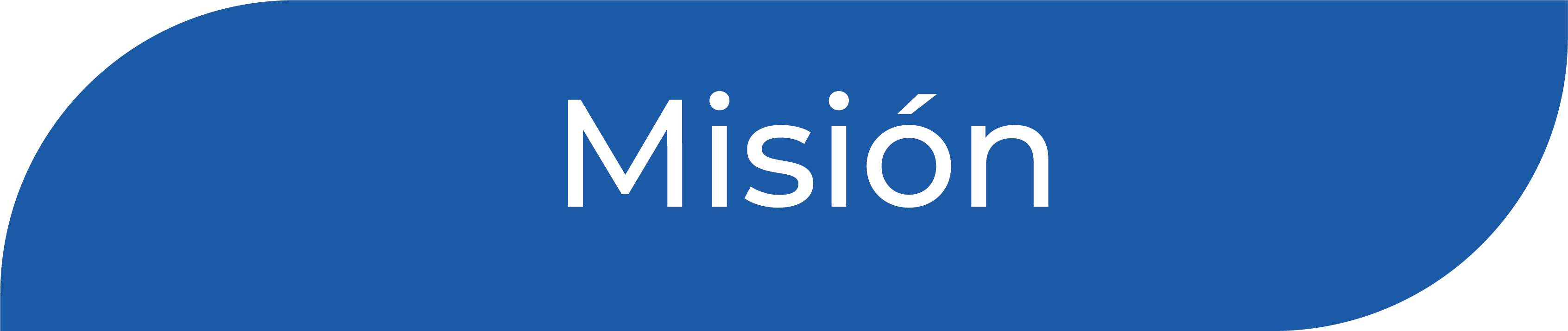 Misión