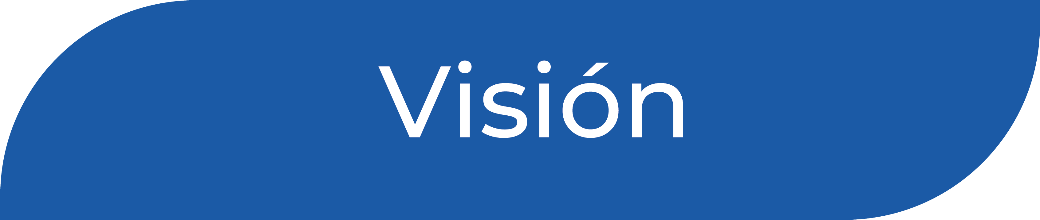Visión